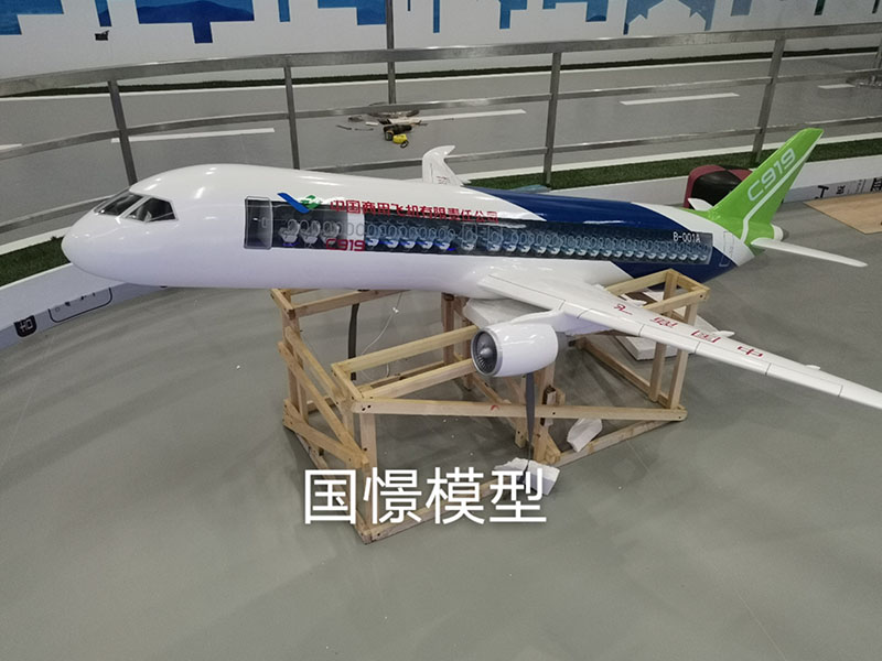 徽县飞机模型